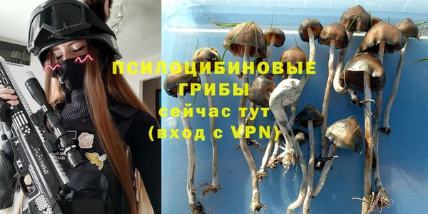 Альфа ПВП Белоозёрский