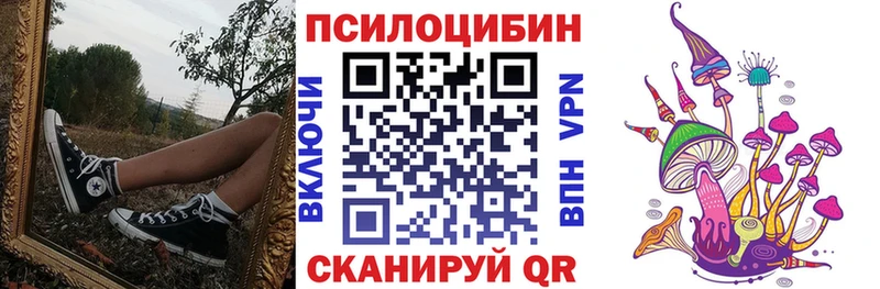 купить  сайты  Бор  Псилоцибиновые грибы Cubensis 