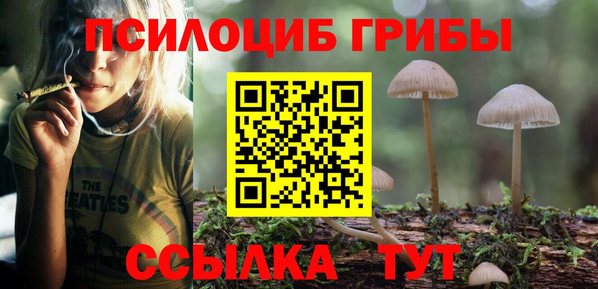 Псилоцибиновые грибы Magic Shrooms  Вход с VPN  Псилоцибиновые грибы Cubensis  Бор 