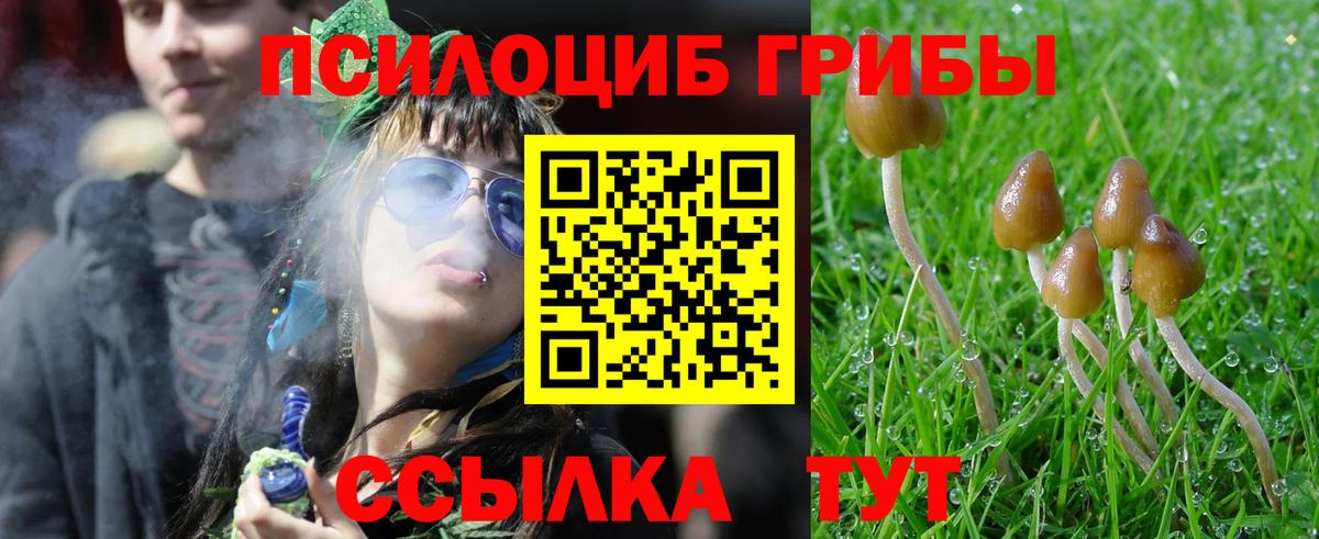 Псилоцибиновые грибы Magic Shrooms Бор